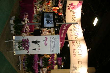 What’s New With Just Add Ice?