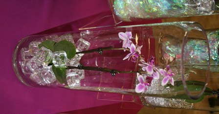 Just Add Ice – Or Don’t?