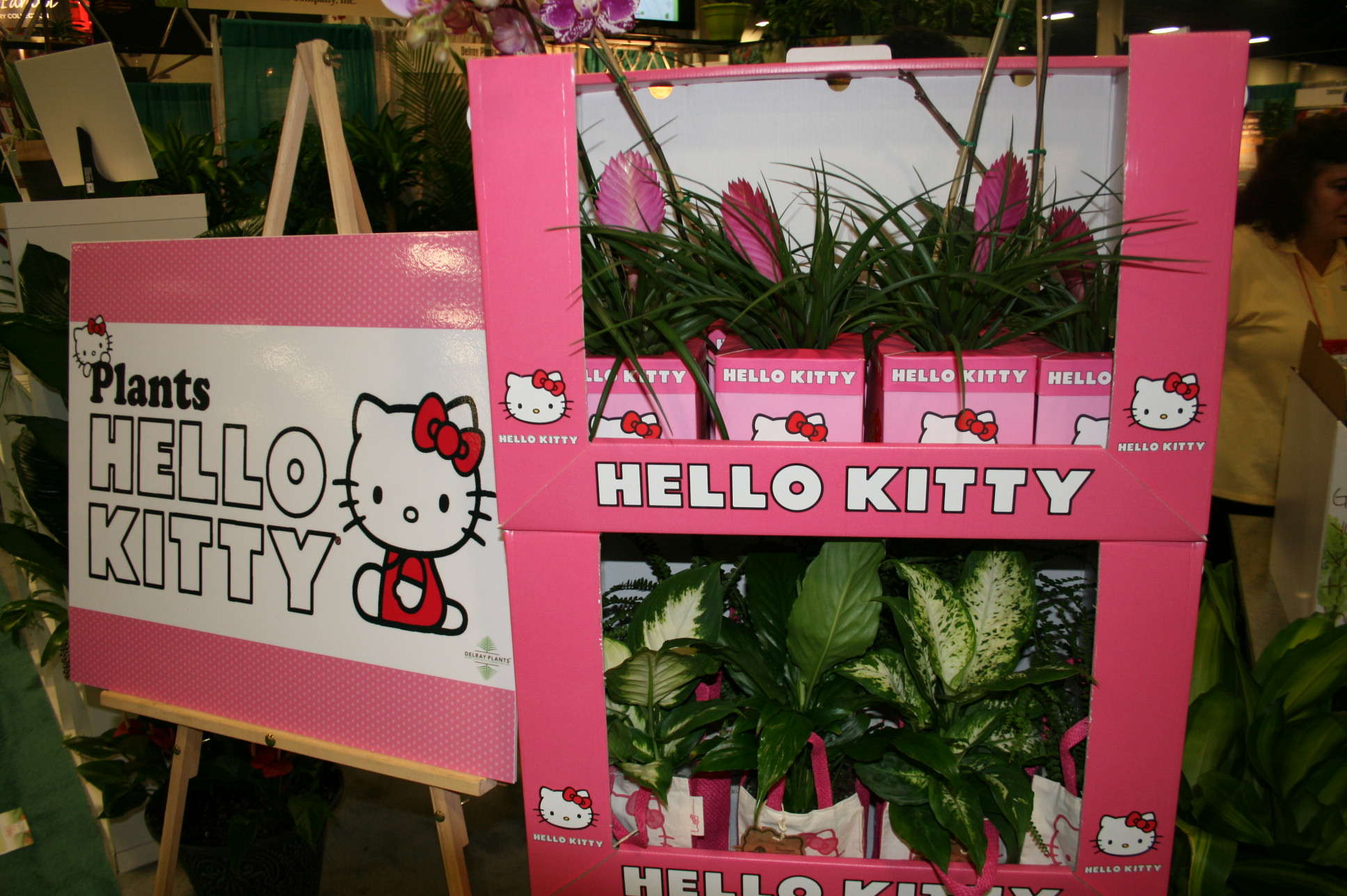 Hello Kitty Concept Hits The Right Demographic