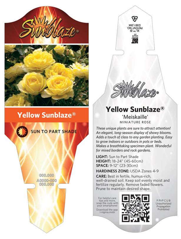 What Growers and Retailers Can Learn From Fashion Trends