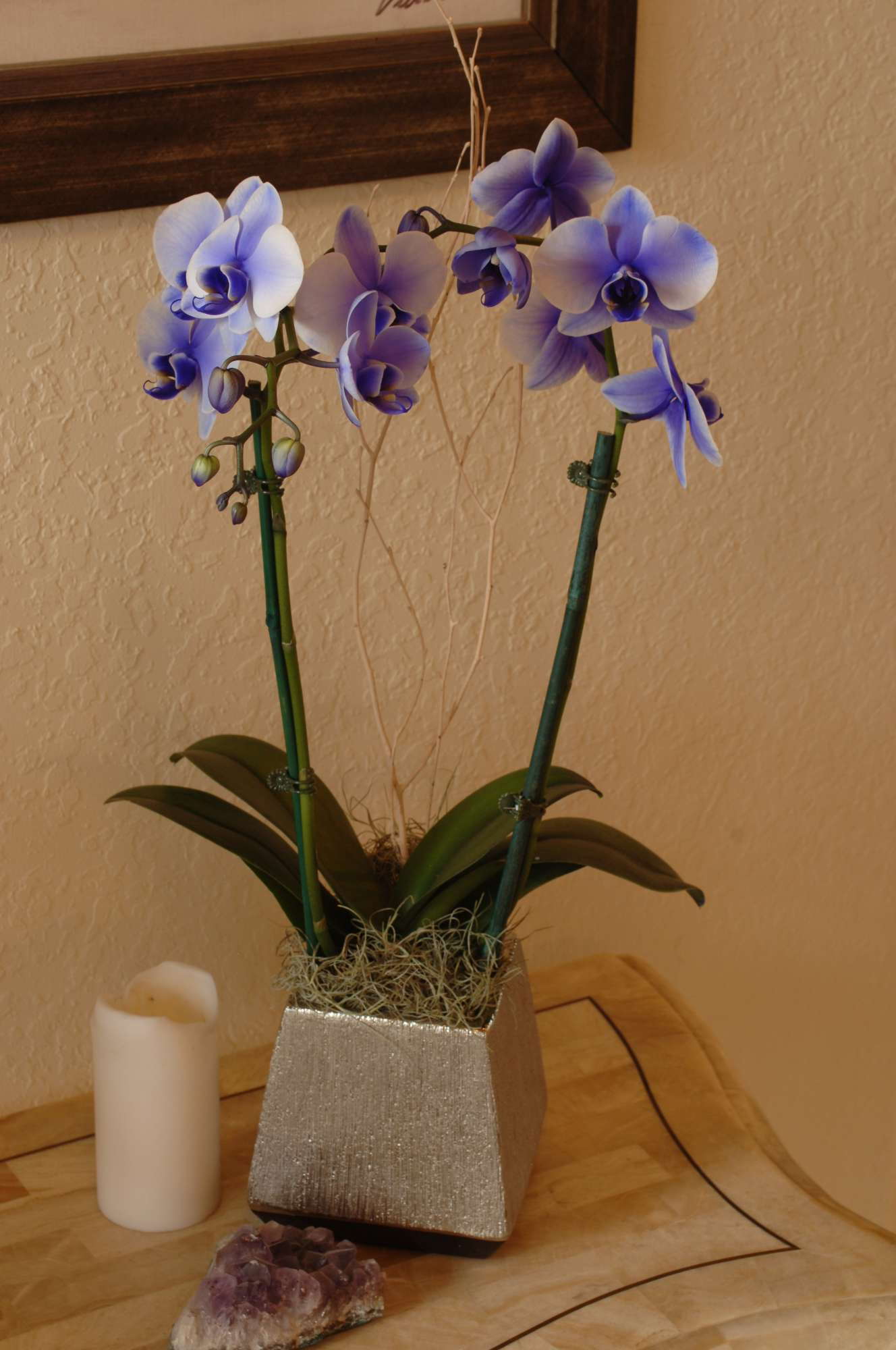 Silver Vase’s Lila Mystique Offered Year-Round