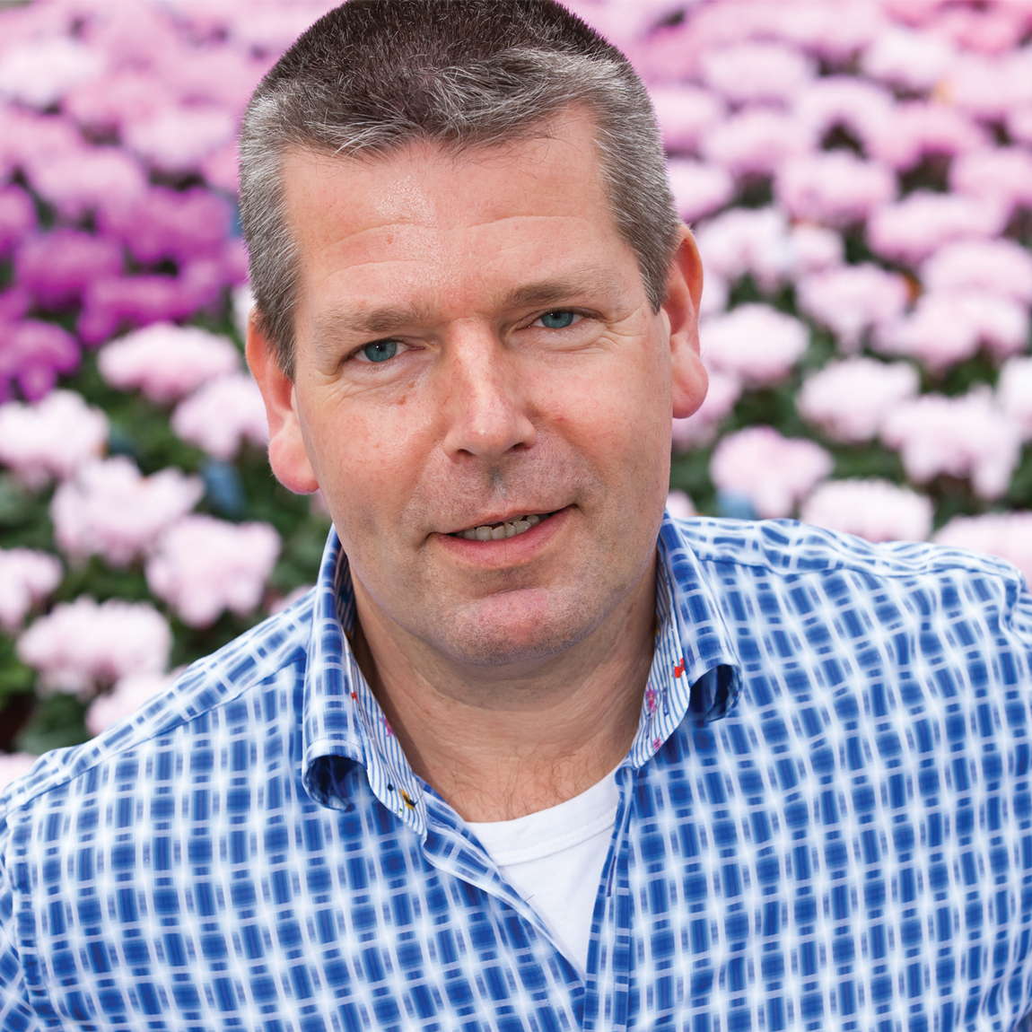 Schoneveld Adds Commercial Director