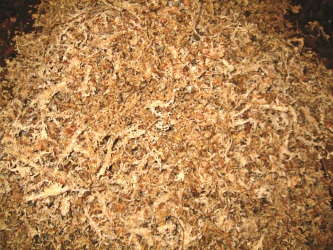 Predicting Plant Water Uptake