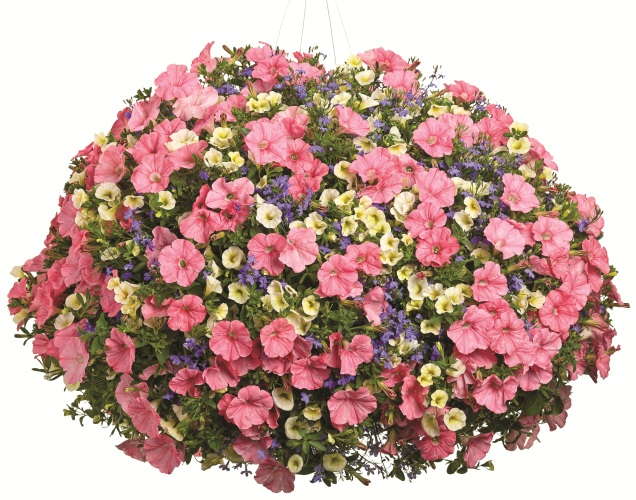 7 Steps To Create Great Combos