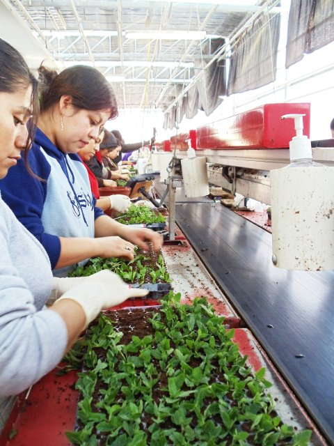 Make Your Business A Lean, Mean Machine