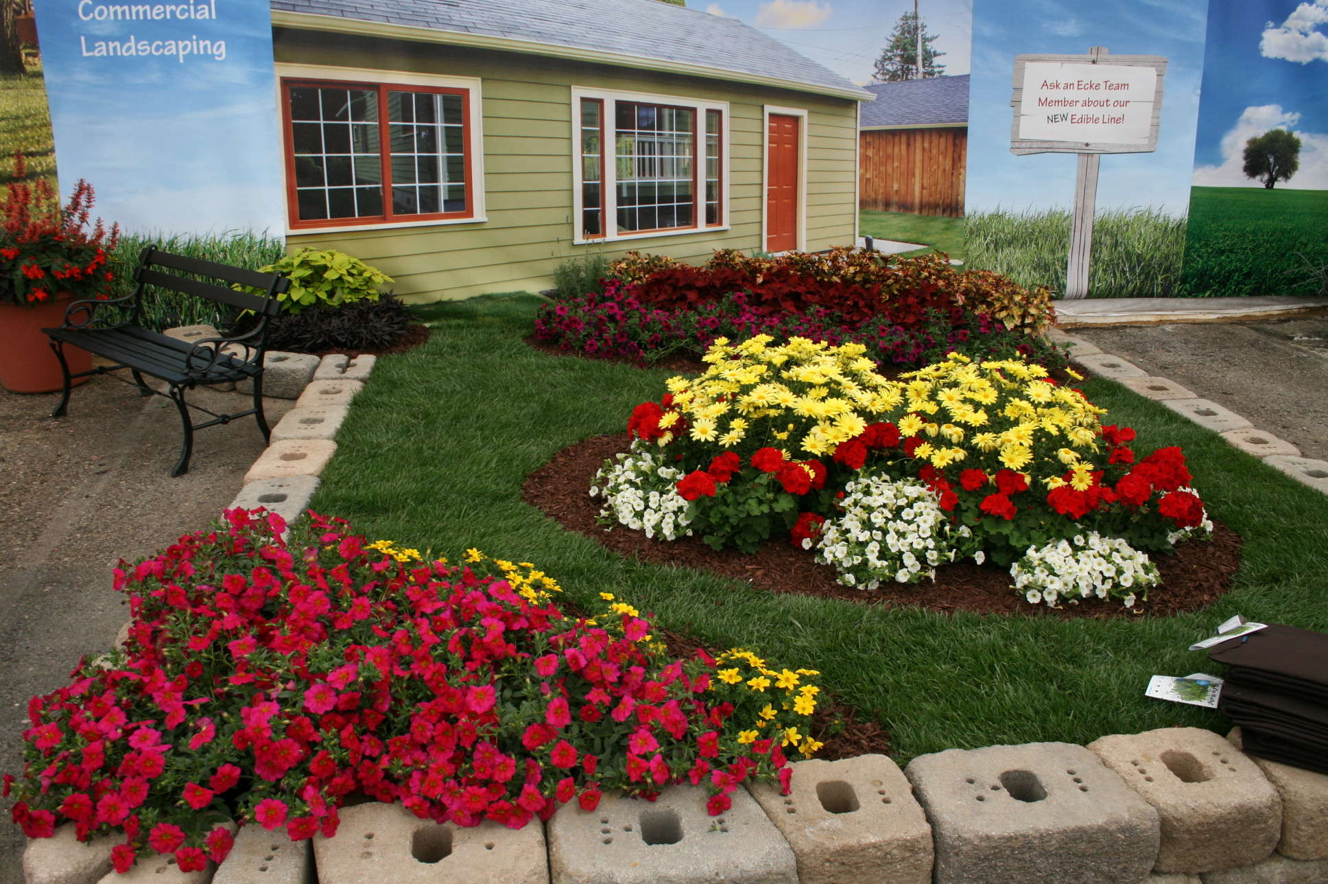 Ecke Shows Impatiens Alternatives