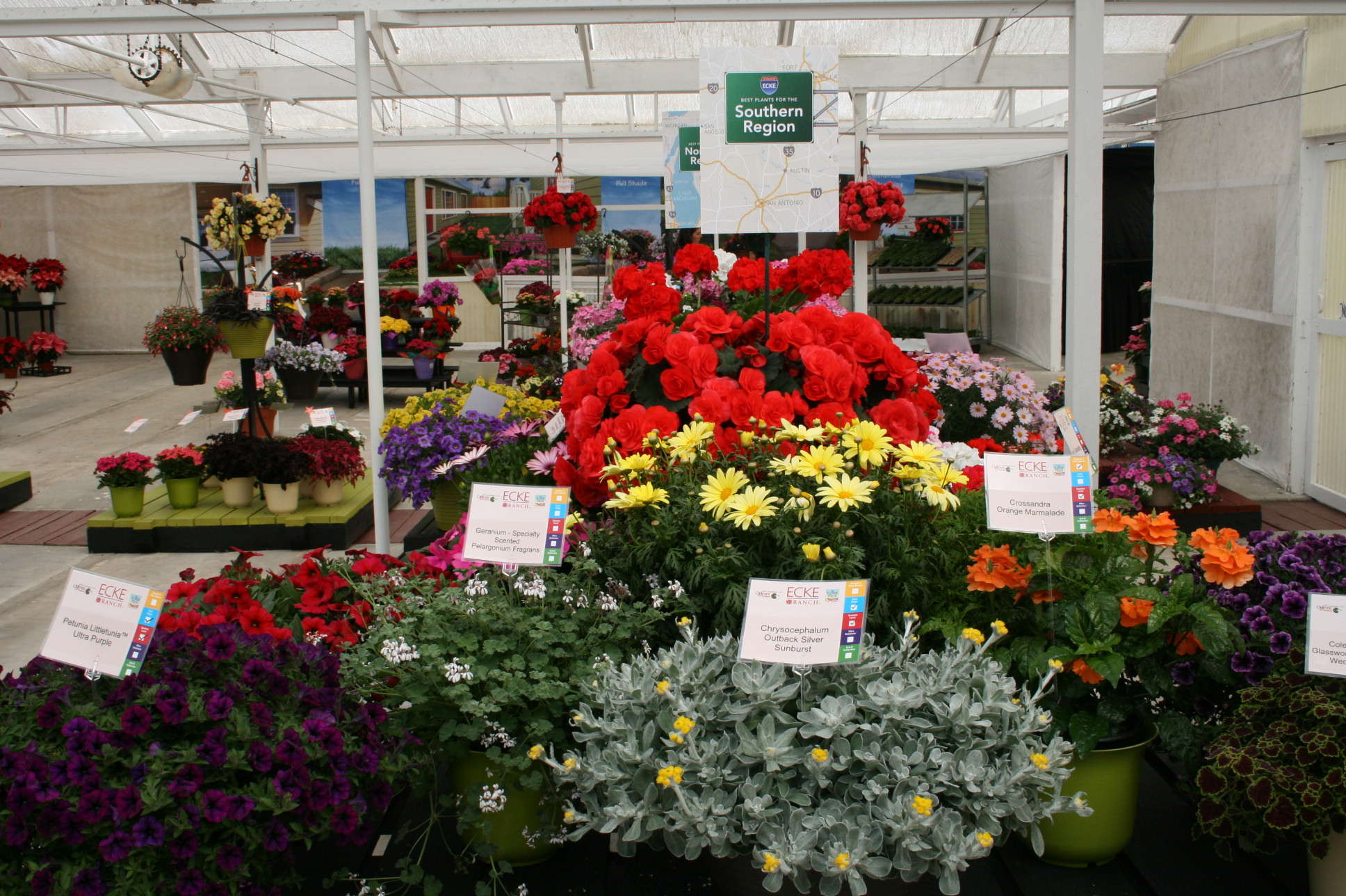 Breeders Deliver Convenience