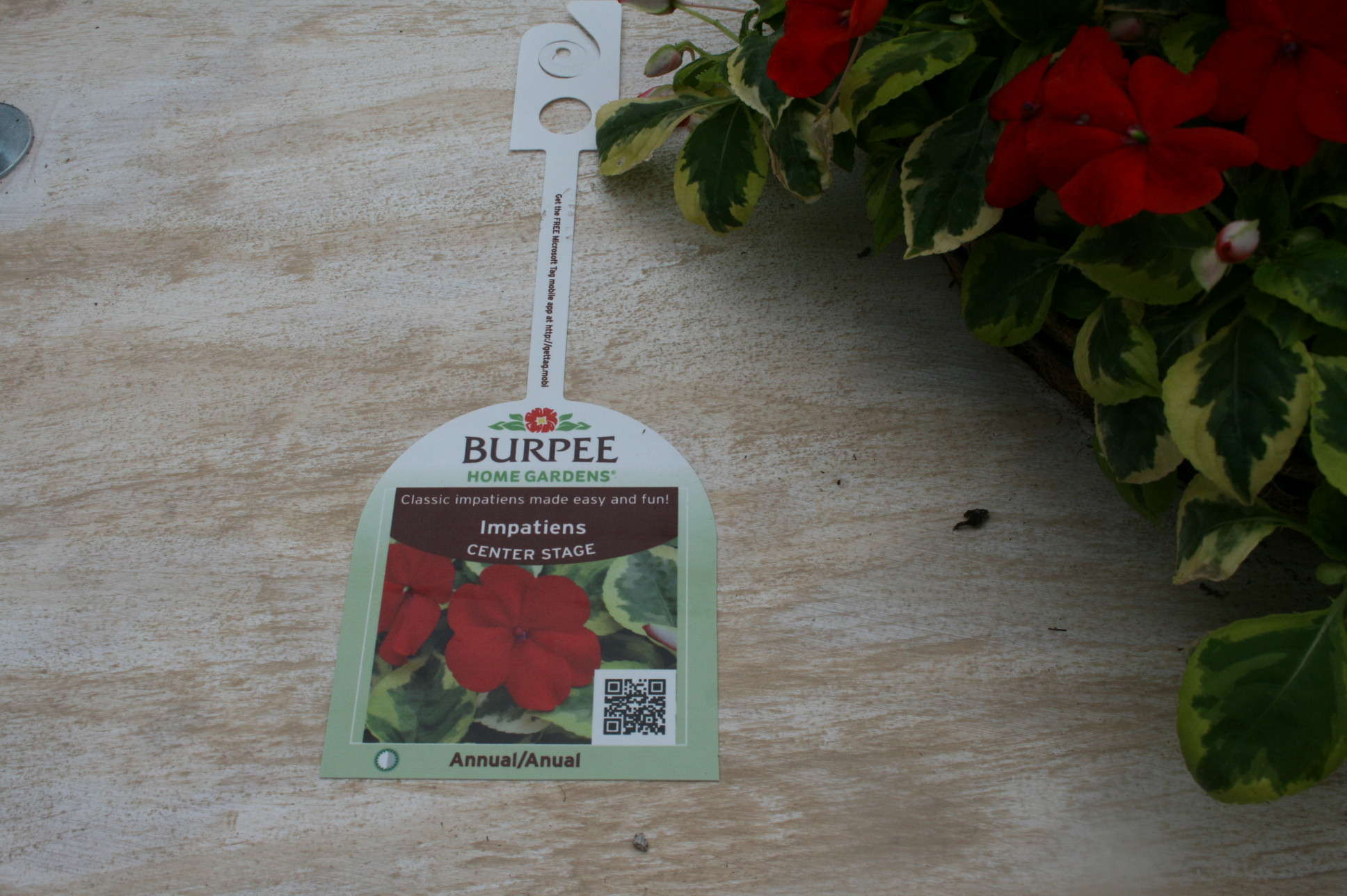 My Garden Designer Makes Choosing Plants Simple