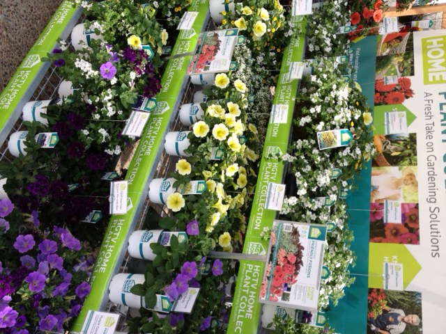 HGTV Collection Looks Like A Home Run