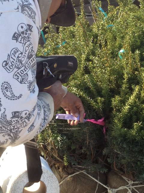 Track Shipments More Efficiently & Accurately