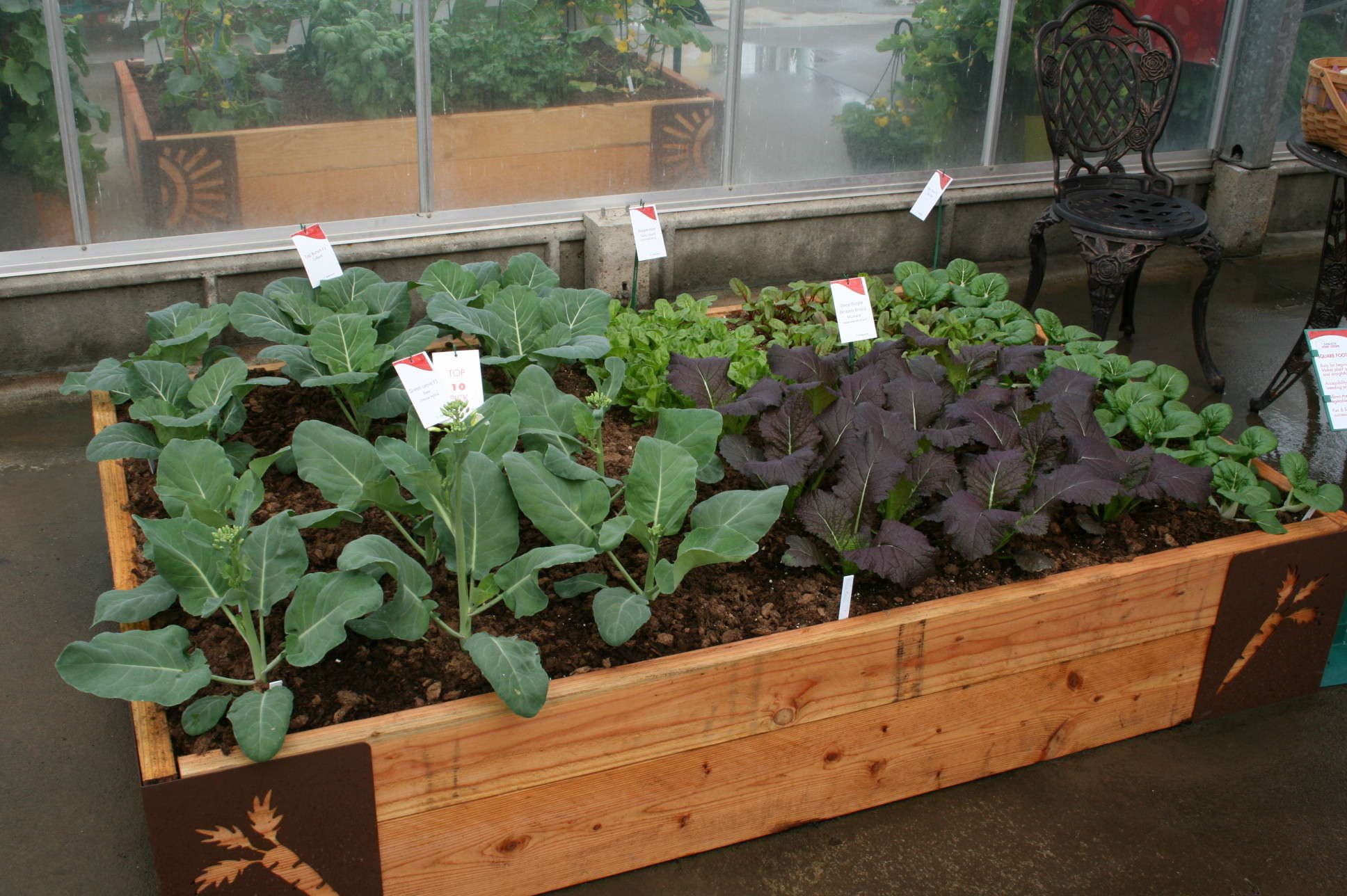 The Case For Locally Grown