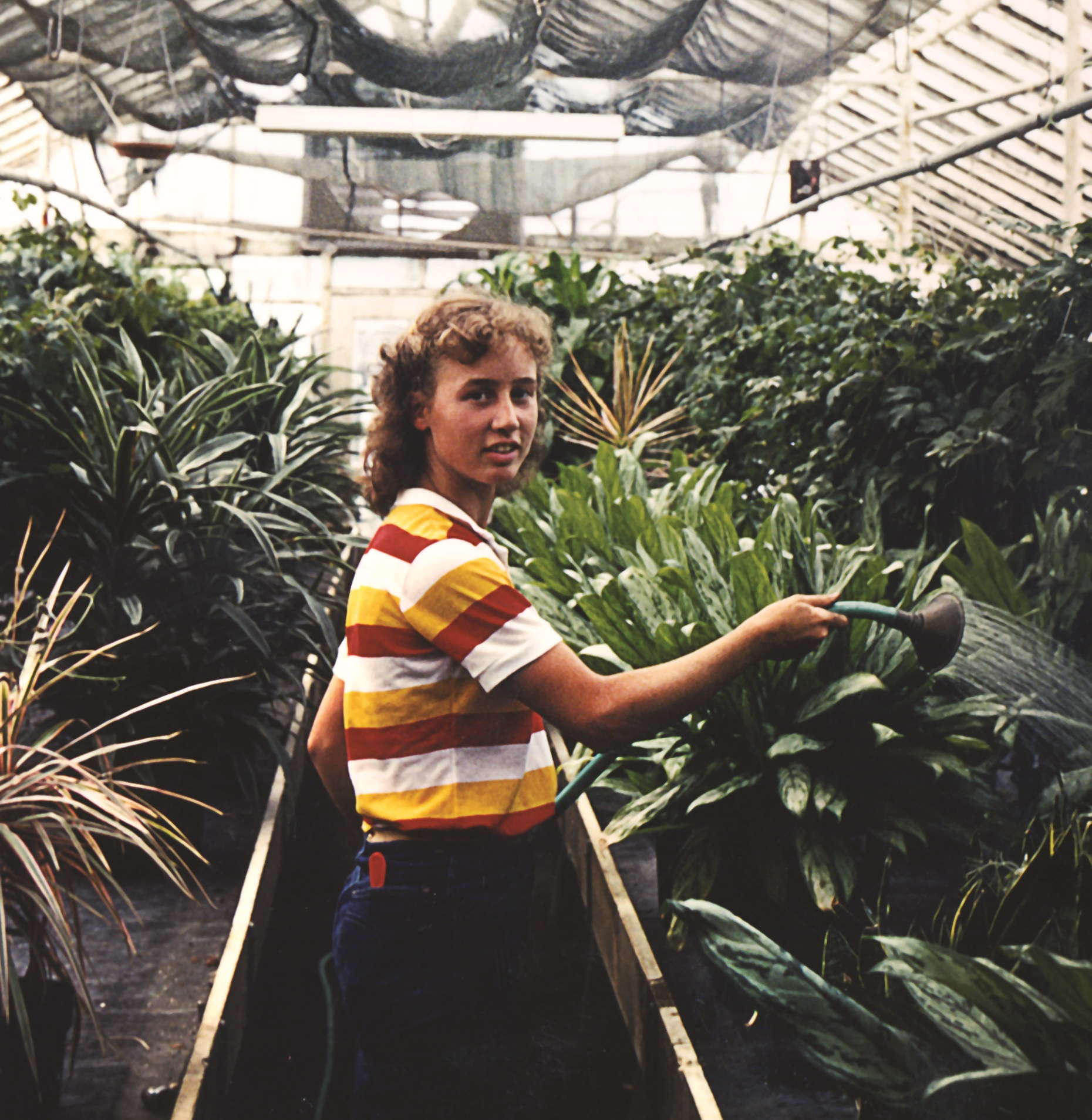 Growing New Gardeners
