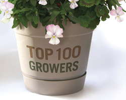 The Top 100 Growers Find Diversity Provides More Security
