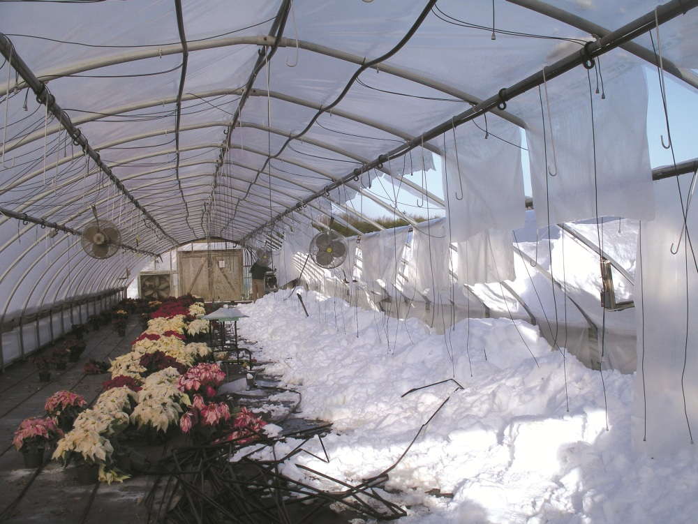 Building Strong Structures With X.S. Smith