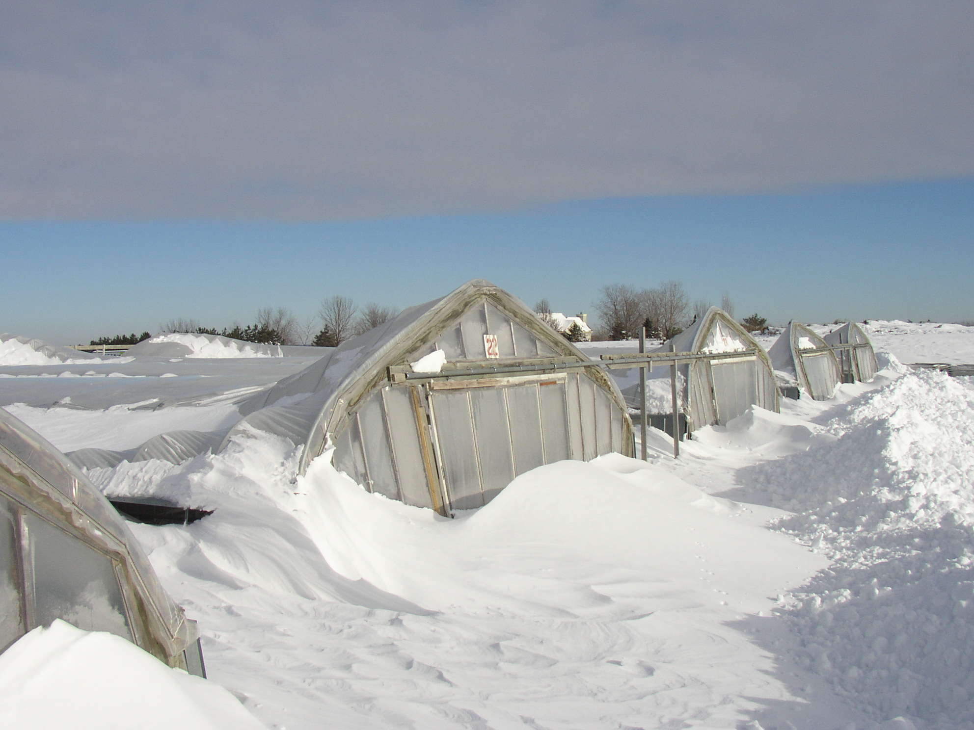 Winter Greenhouse Rebuilds Are A Possibility: Harnois Industries