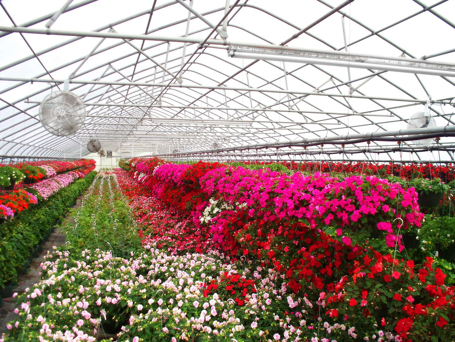 Grow Ornamentals, Vegetables Under One Roof With Atlas Manufacturing
