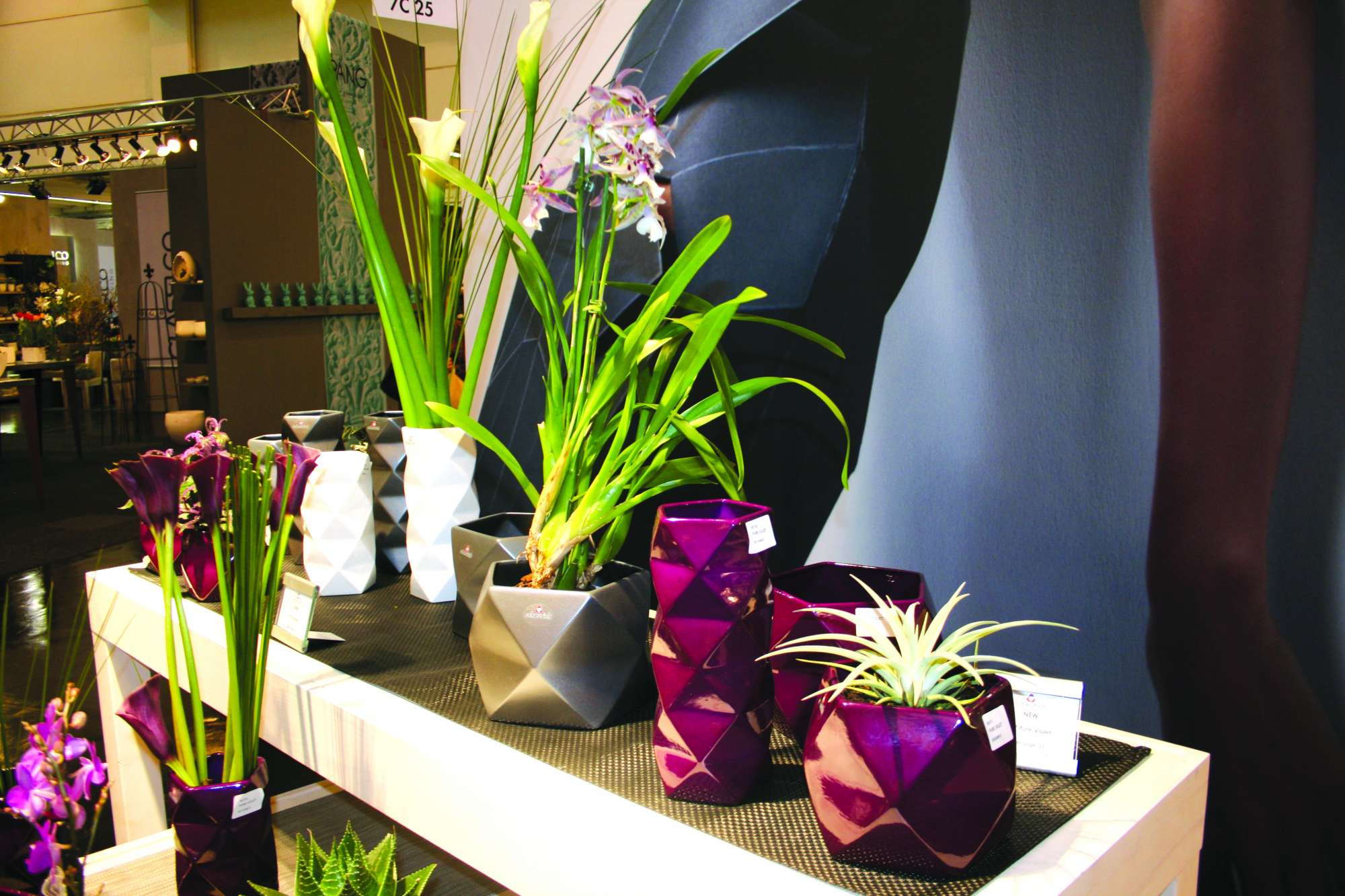 Plant Trends For 2012
