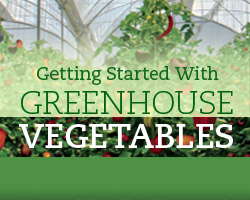 Retrofits And New Equipment For Greenhouse Vegetables