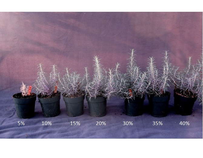 Save Water With Automation And Sensors