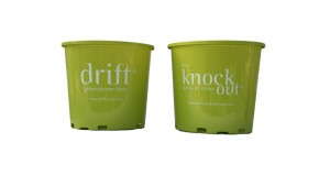 Star Roses and Plants/Conard-Pyle Unveils New Brand, Pot