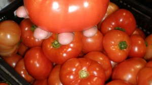 Greenhouse Project Moves Pavlodar (Kazakhstan) Closer To Self-Sufficient Vegetable Production