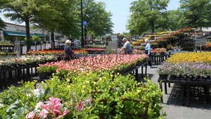 Garden Retail 2012: Observations On Spring From Jerry Montgomery