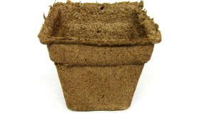 Trays And Containers That Make Planting Easy