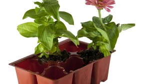 Sixteen Growers Honored For Recycling Water Bottles Into Plant Containers