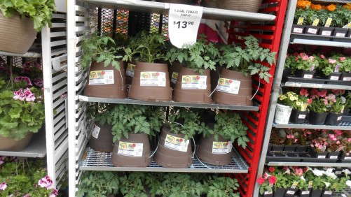 Garden Retail 2012: Observations In Charlotte, N.C.