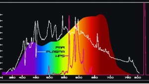 New Plasma Lighting Technology Grows Nutritious Vegetables