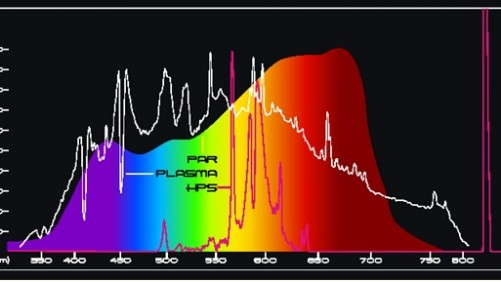 New Plasma Lighting Technology Grows Nutritious Vegetables