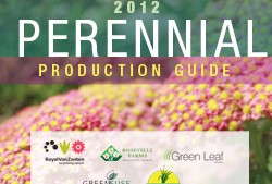 Perennial Production Tips Guide
