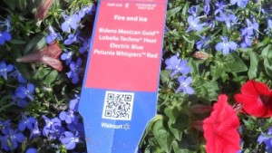 Garden Retail 2012: Observations In Cleveland, Ohio