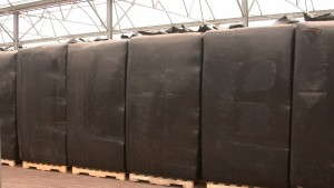 Pre-formulated Growing Media: A Trend To Watch