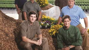 WholeTree Provides  A Sustainable Substrate