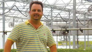 Integrate Production From Planting To Shipping