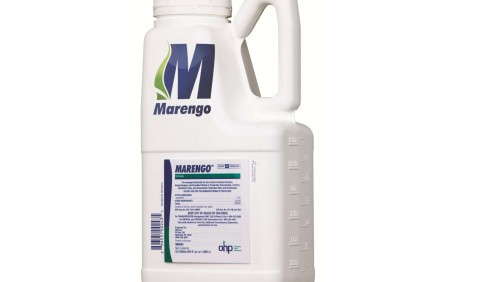 OHP Launches Marengo Ornamental Herbicide