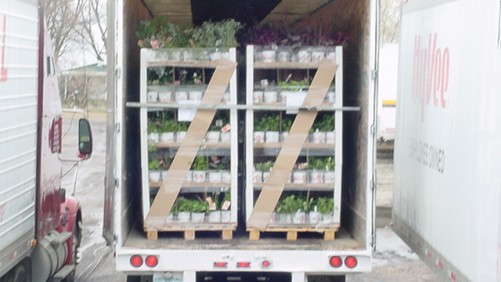 Eco-Friendly Greenhouse Racks For Your Operation
