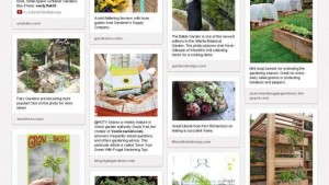 How Pinterest Helps Growers