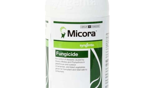 Keep Plants Healthy With These 7 Products