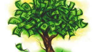 Grants Make Greenhouse Projects Possible