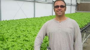 Bella Verdi Farms Focuses On Efficient Greenhouse Vegetable Production