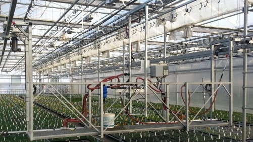 Common Objections To Mechanization In The Greenhouse