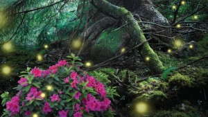 Proven Winners Unveils 2013 Consumer Shrub Campaign