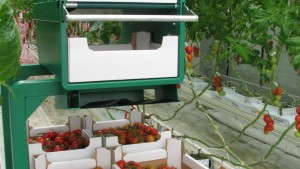 Greenhouse Equipment And Automation For Every Size Operation