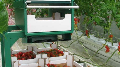 Greenhouse Equipment And Automation For Every Size Operation