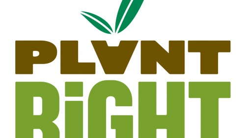 PlantRight Names Three More Invasive Plants To Guide California Nursery Production