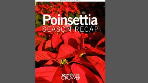 Download: 2012 Poinsettia Season Recap Whitepaper