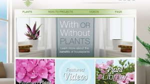 New Delray Plants Website Targeted At Consumers