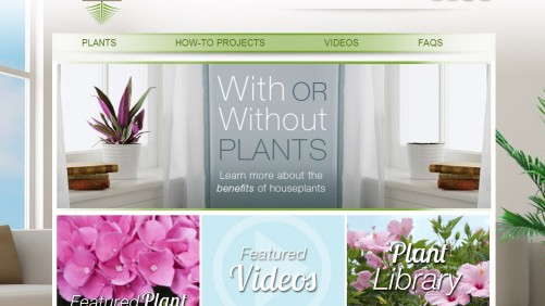 New Delray Plants Website Targeted At Consumers
